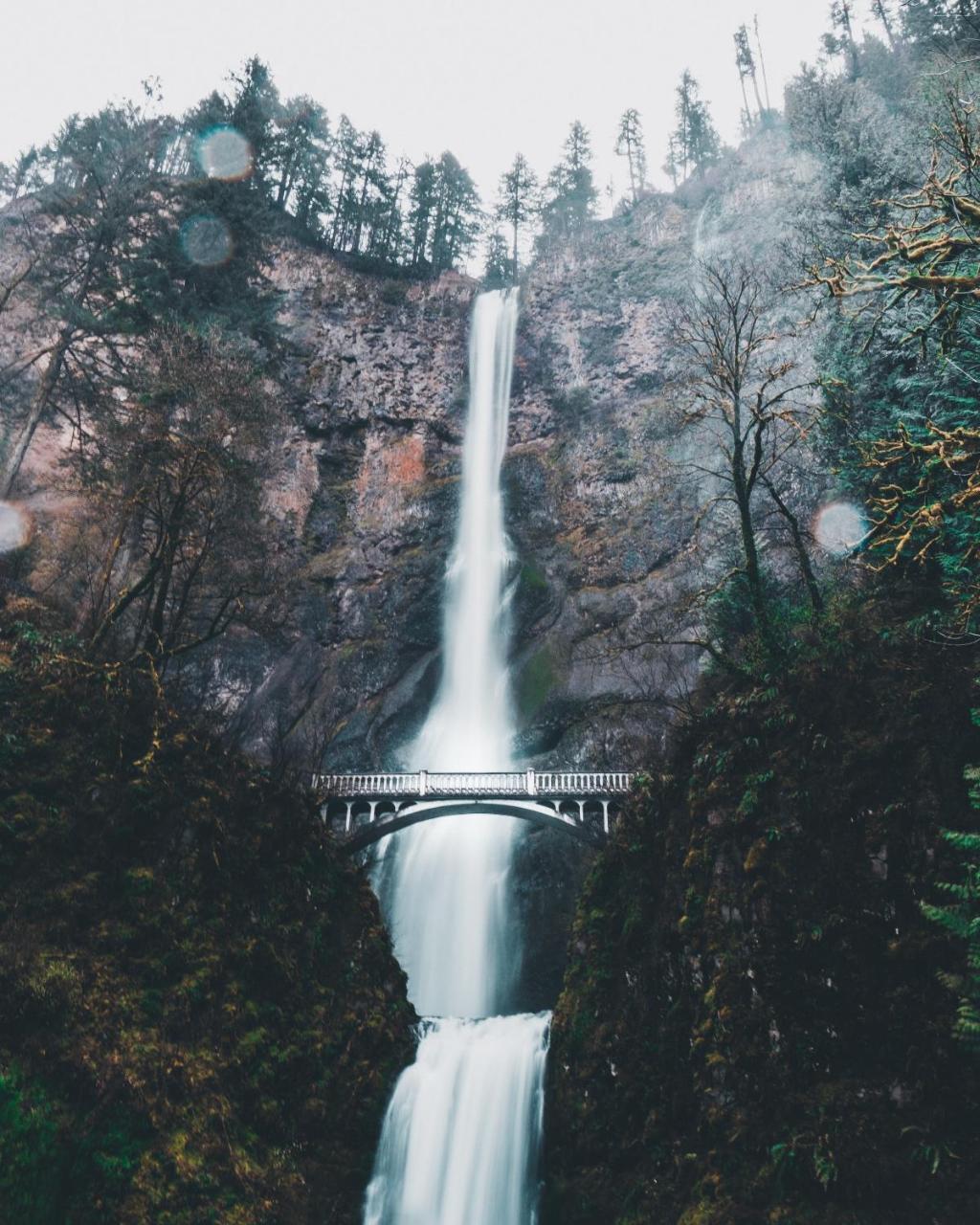 Jupiter Next Portland